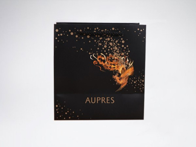 古風（fēng）服裝手提袋